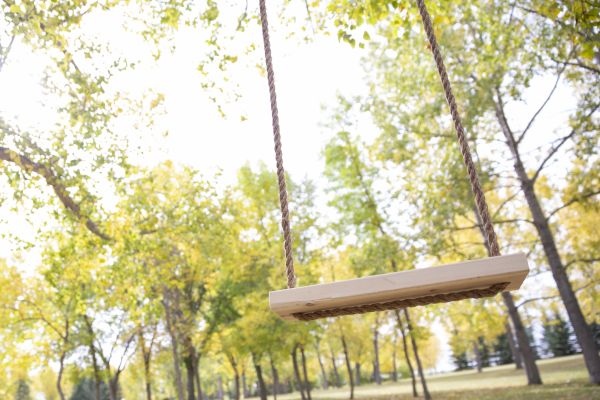 Cost of Tree Swing Installation in Oakland