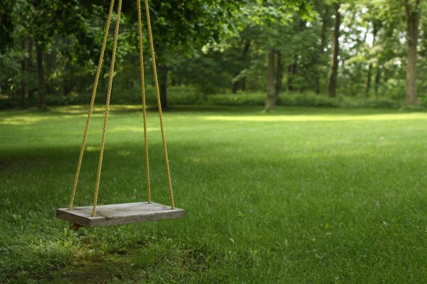Cost of Rope Swing Installation in Oakland