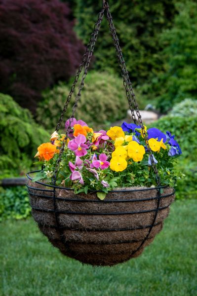 Cost of Hanging Basket Installation in Oakland