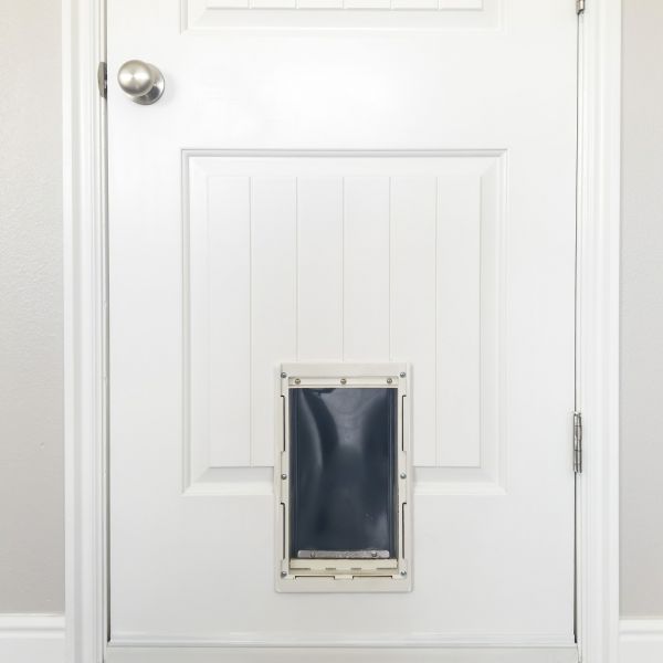Cost of Pet Door Repair in Oakland