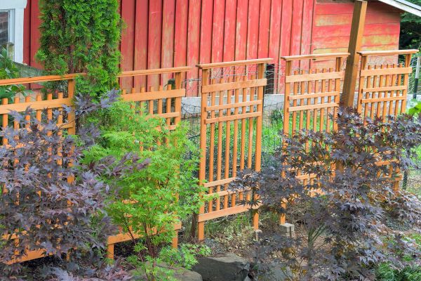 Cost of Wood Trellis Mounting in Oakland