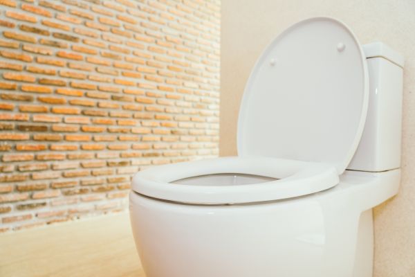 Cost of Toilet Seat Repair in Oakland